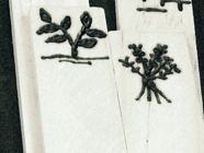 line filled seed labels